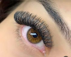 volumen tecnológico 6 d